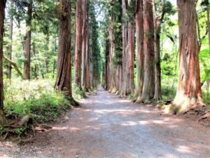 祈りの道・癒しの杜「戸隠神社」