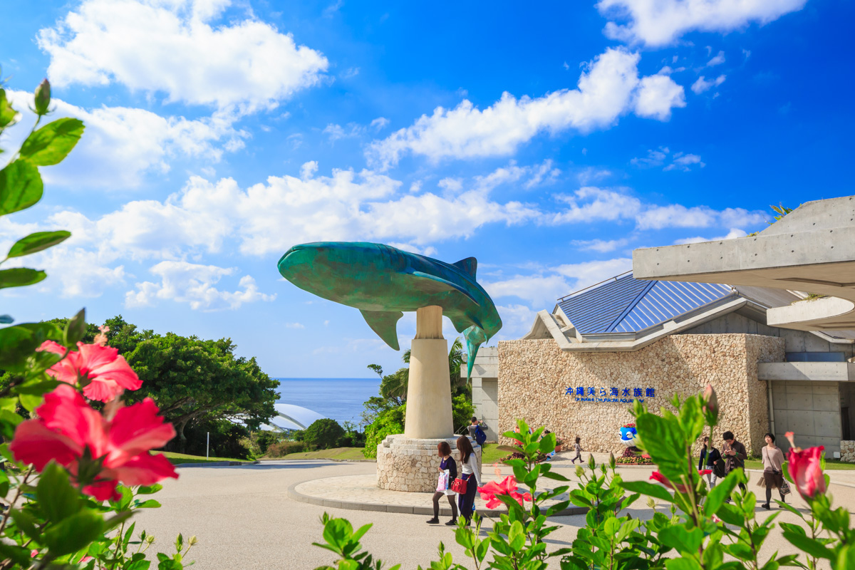 沖縄大満喫☆美ら海水族館&リゾート感溢れる社員旅行《モデルプラン:3日間》