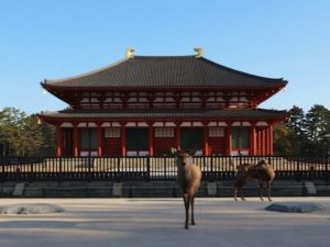 阿修羅像が有名な仏教文化の宝庫「興福寺」