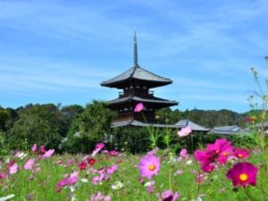 世界最古の木造建築 聖徳太子ゆかりの「法隆寺」