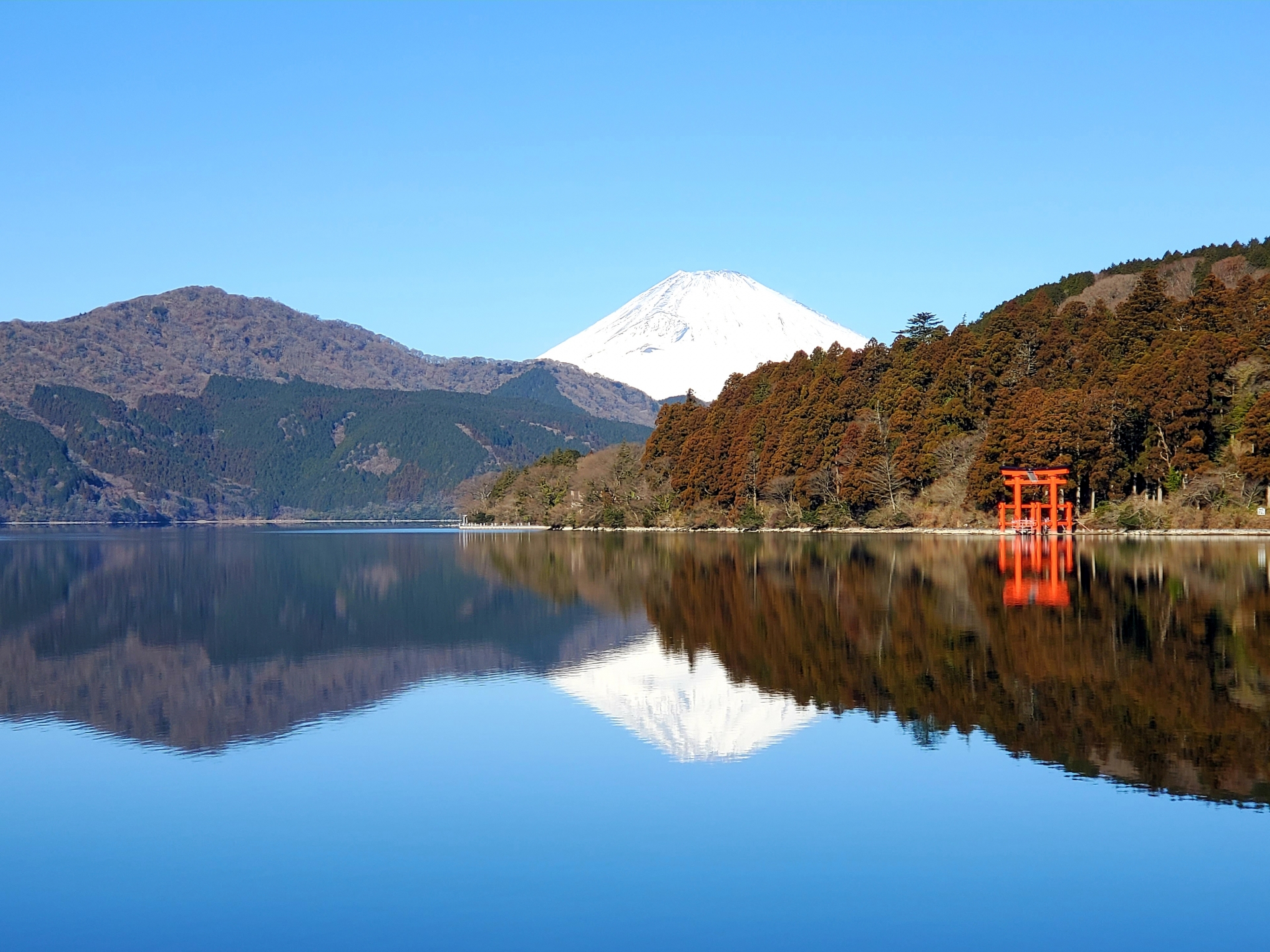 伊豆半島と箱根の王道スポットをめぐる社員旅行2日間